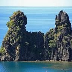 House / Pop / Trip-Hop