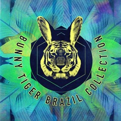 Bunny Tiger Brasil Collection // BTBR001 [OUT NOW]