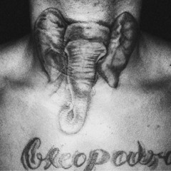 XXXTENTACION - Elephant In The Room (acoustic)