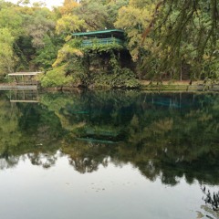 victor vega ~ skrskr