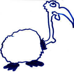 Vögel In Baggungen
