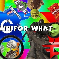 Turn Down For Weed - MLG Airhorn Remix