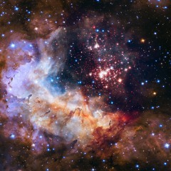 Vers Le Cosmos (R.I.P. Den's)