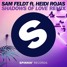 Shadows Of Love (ft. Heidi Rojas)