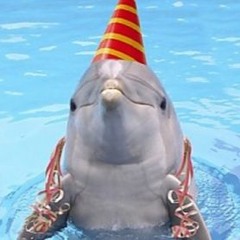 Blaxtork - Dolphin Party (H!GH Remix) FREE DL