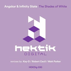 Angskar & Infinity State - The Shades Of White (Original Mix) - [Hektik Digital] - preview