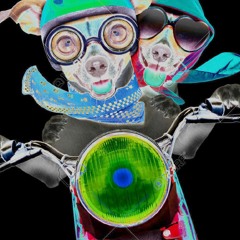 Crazy Speed (Infected Mix) - Psytrance [BUY=DOWNLOAD LINK]