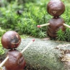 Doc.Fish@Lost in Nature