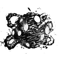 War Church - Not Even A Dog