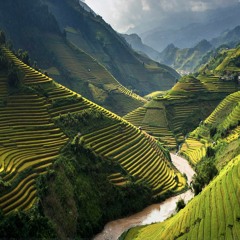 Vietnam Sound - background music for video, game, film, advertising (free royalty music)