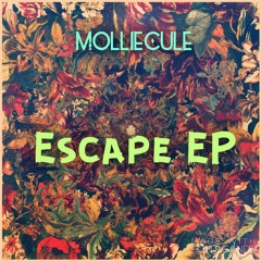 Did You Hear That Wharmp? FREE DOWNLOAD