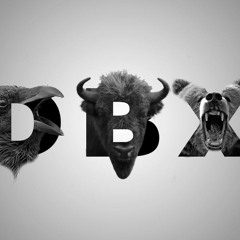 Laisse Faire Le Dude Box