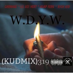 W.D.Y.W. (KUDMIX) 319
