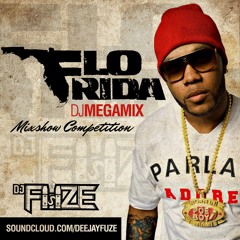 Flo Rida Megamix by DJ Fuze