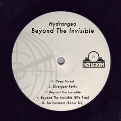 Hydrangea - Beyond The Invisible [CNTPH012] (Preview)