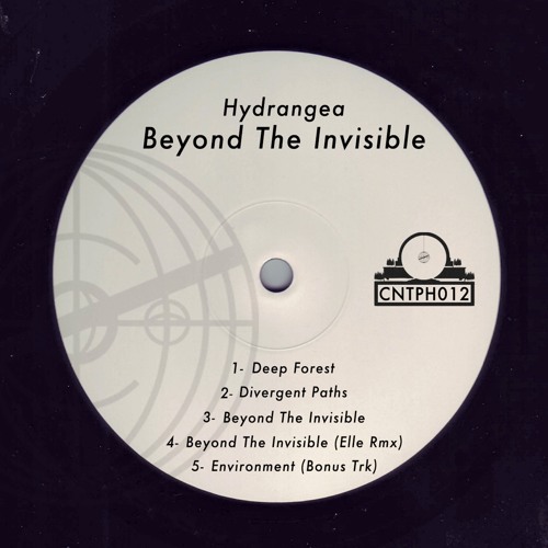 Hydrangea - Beyond The Invisible [CNTPH012] (Preview)