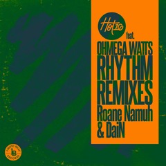 Hot16 "Rhythm (feat. Ohmega Watts)" [Roane Namuh Remix]