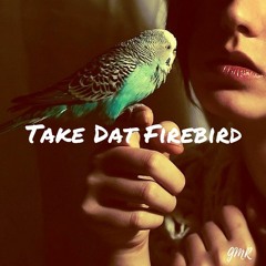 Take Dat Firebird (Galantis X Tim White X Lil Dicky X G Eazy & Bebe Rexha){Supported by Juicy M}
