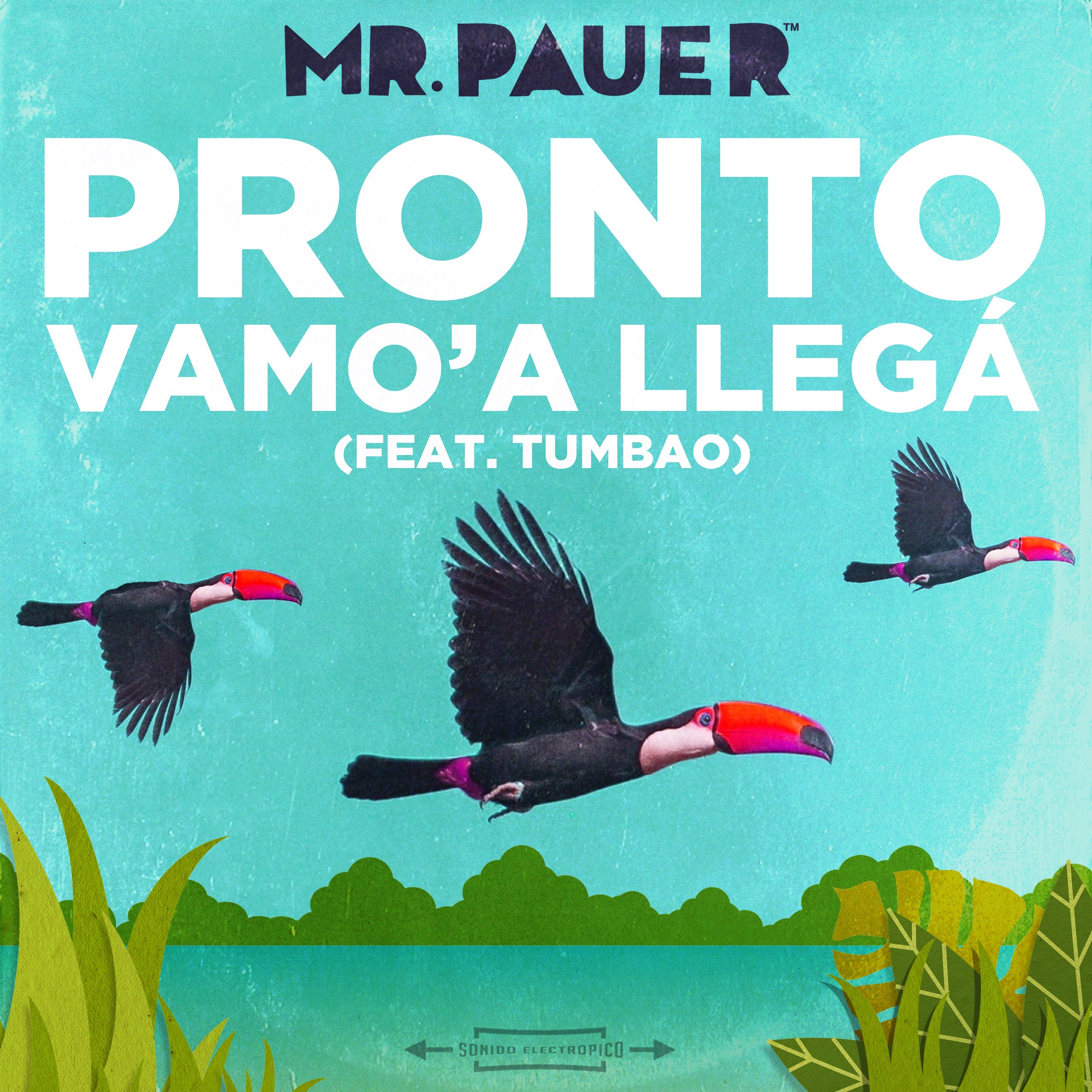 Mr Pauer