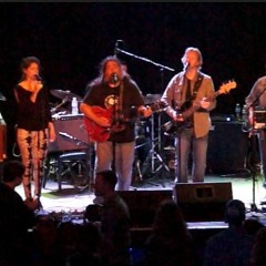 Terrapin Flyer - Set 2