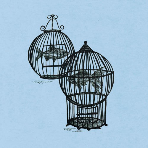 Rule 9 - Child Of The Stars