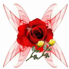 رمش عينه الى جرحنى