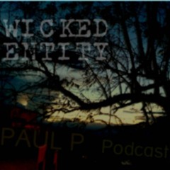 Paul P - Wicked Entity Podcast 003 - 19 !!