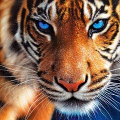 Eye Of The Tiger (metal Cover By Leo Moracchioli Feat. Rob Lundgren)