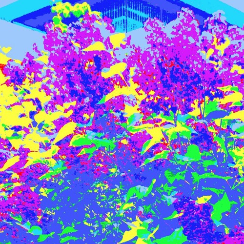 4th Of Other - Disquiet0229