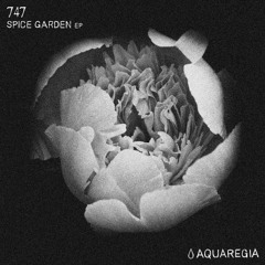 747 - Spice Garden (Original Mix)[Aquaregia]