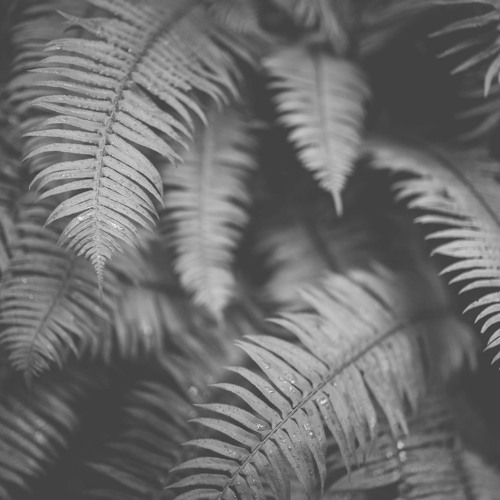 sarhḁnza meadows (trying 2 feel something)