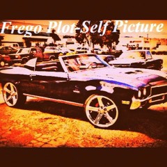 Frego Plot-Self Picture