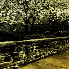 What Would Have Been