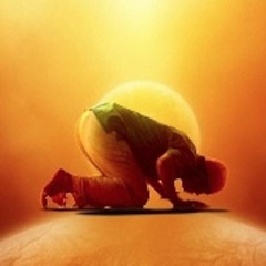 Allama Al Quran To Prophet (as) then created Insan