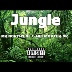 Jungle / Mr.Northside & Helicopter DK