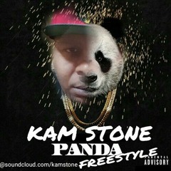 PANDA FREESTYLE