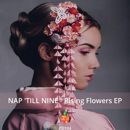 PD104 Nap 'TIll Nine - Be The One (Original Mix) Snippet [Pineapple Digital]