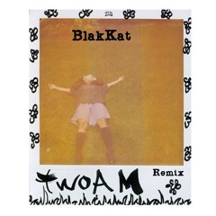 SZA - twoAM (@BlakKat206 Remix)