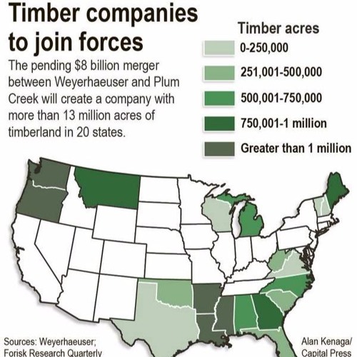 Stream Biggest timber merger in the world by Tana Wilson Listen