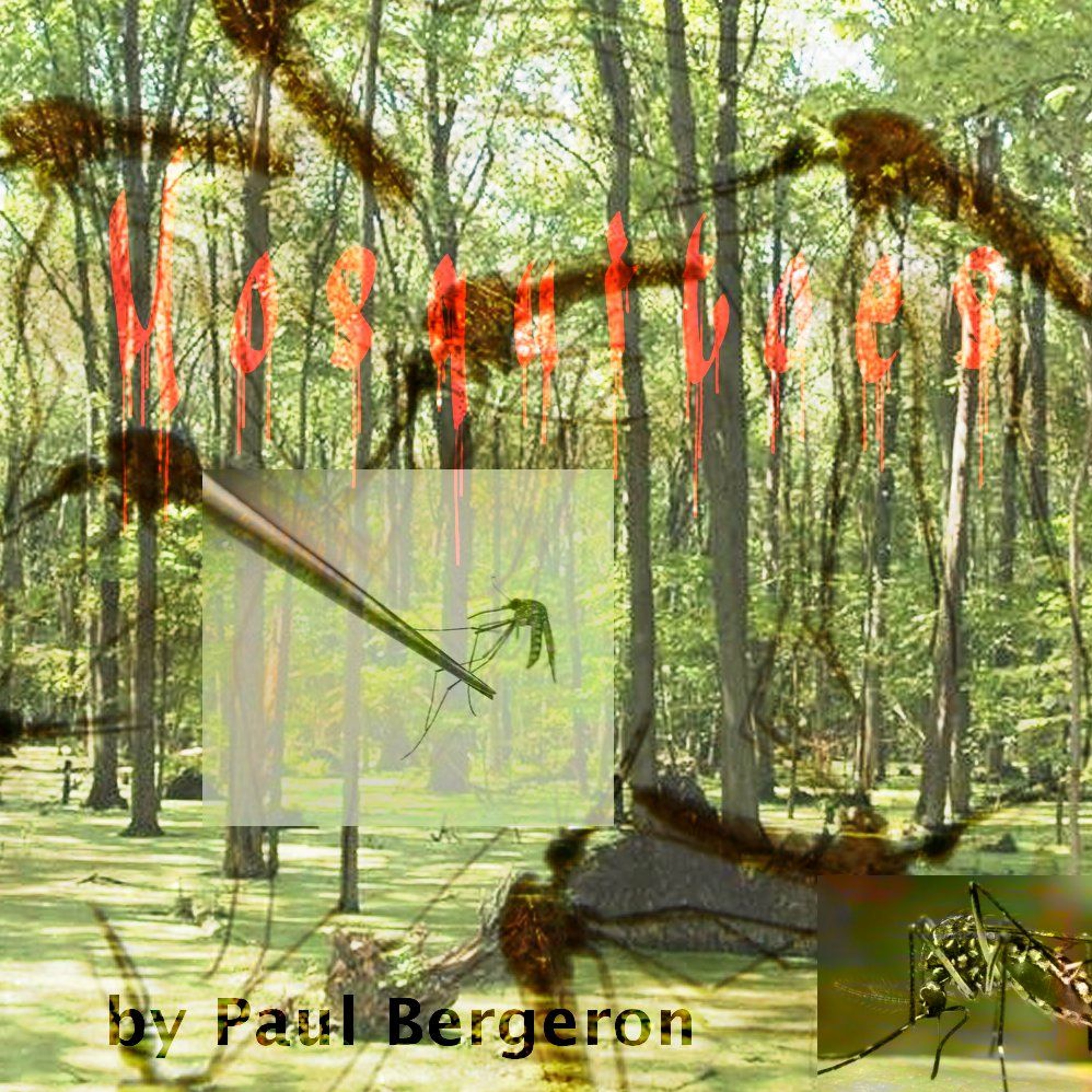 Paul Bergeron - Poeticise