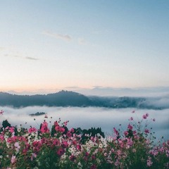 I Think You Were In My Profile Picture Once