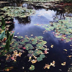 Steven Cravis - Tears of Joy