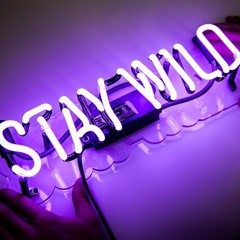 No Slowing Down **SOLD**