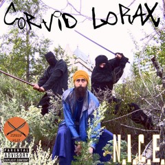 Corvid Lorax - Strollin