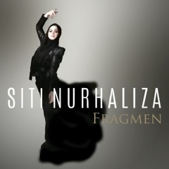 Siti Nurhaliza - Kesilapanku, Keegoanmu