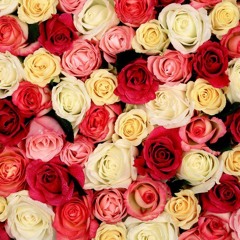 flwrs