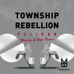 Township Rebellion - Pelikan (Matchy & Bott) Snippet