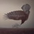 Artwork for Katatonia - Old Heart Falls (from The Fall of Hearts)