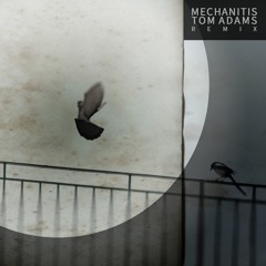 Mechanitis (Tom Adams Remix)