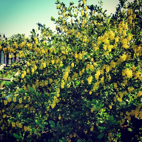 All I Want (BENY Remix)